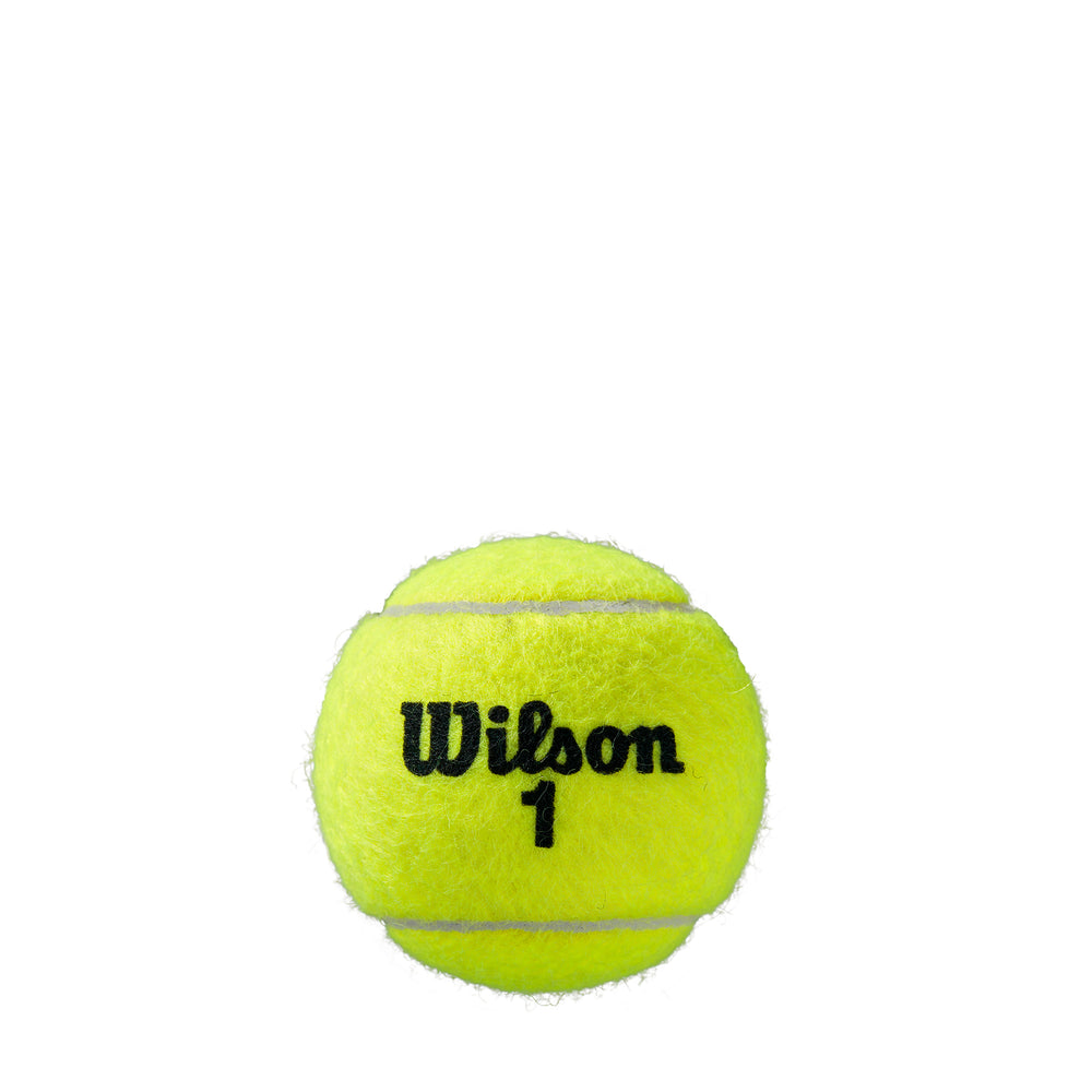 ROLAND GARROS ALL COURT 4-BALL 18 CAN CASE TENNIS BALLS