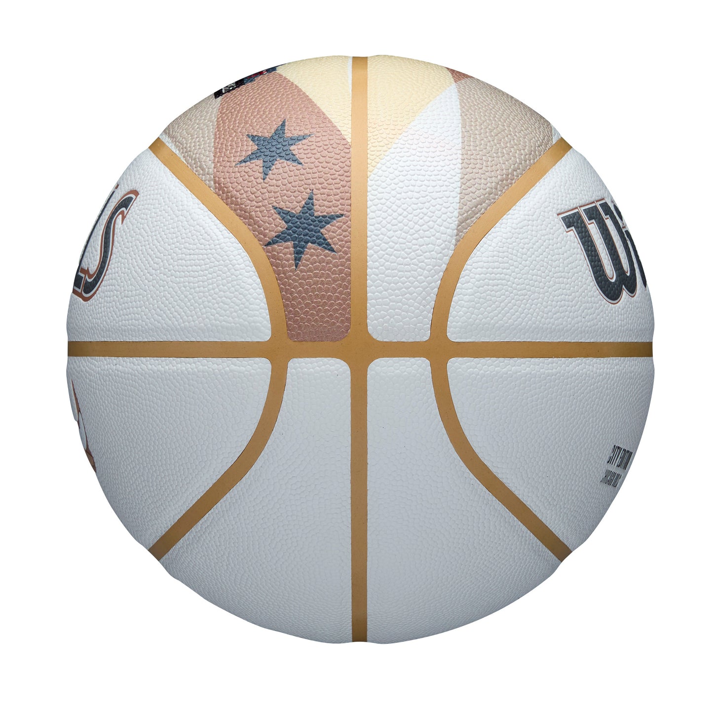 NBA Team City Collector Basketball Chicago Bulls