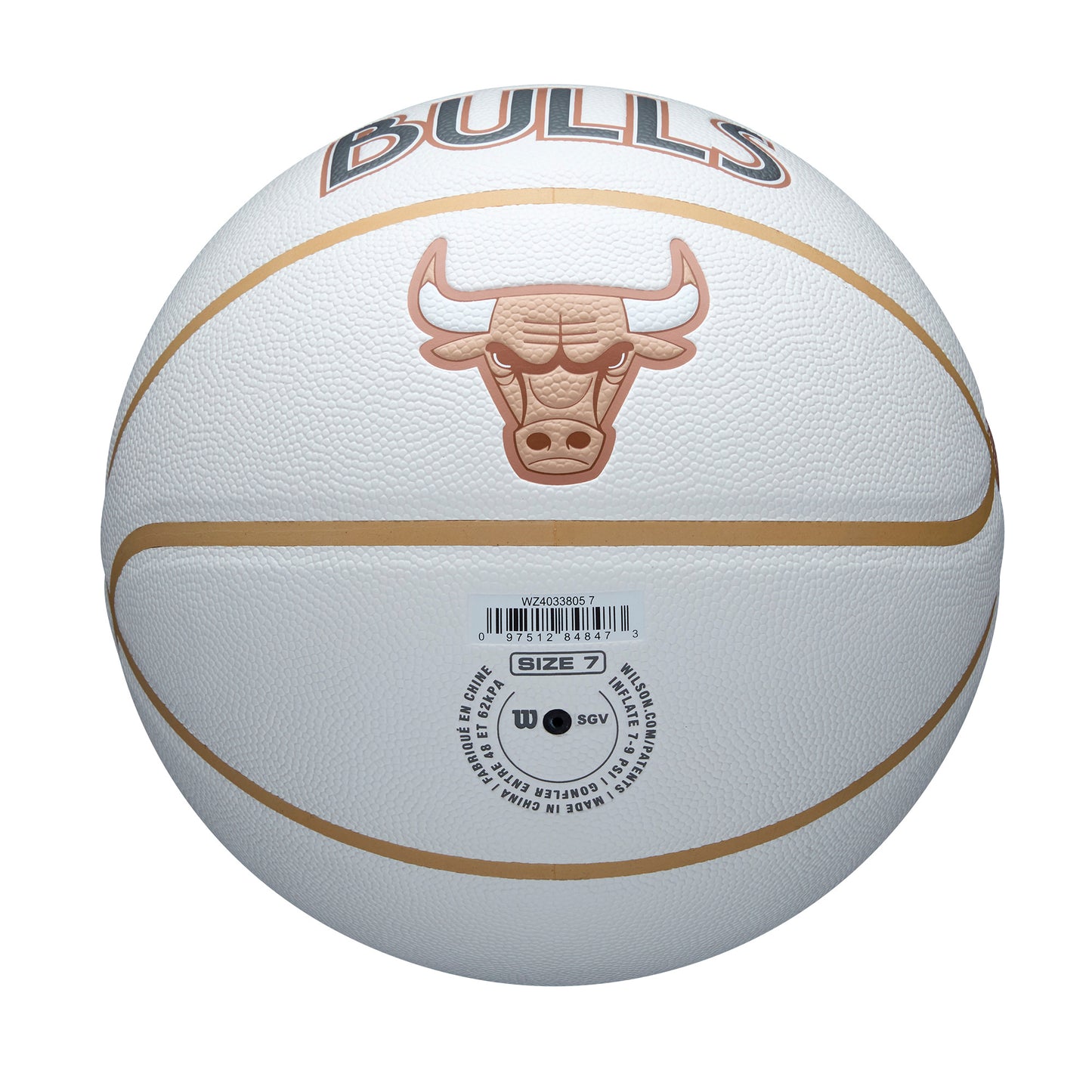 NBA Team City Collector Basketball Chicago Bulls