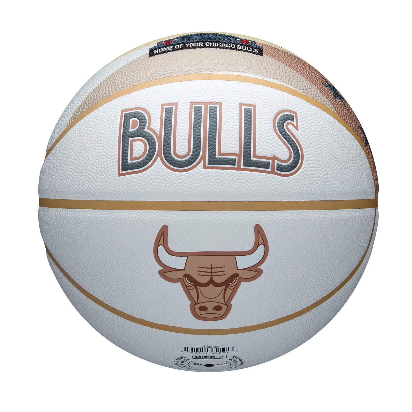 NBA Team City Collector Basketball Chicago Bulls