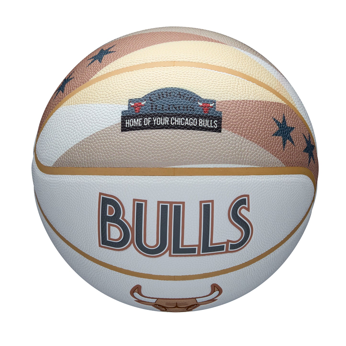 NBA Team City Collector Basketball Chicago Bulls