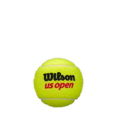 US OPEN XD 3-BALL 24 CAN CASE TENNIS BALLS