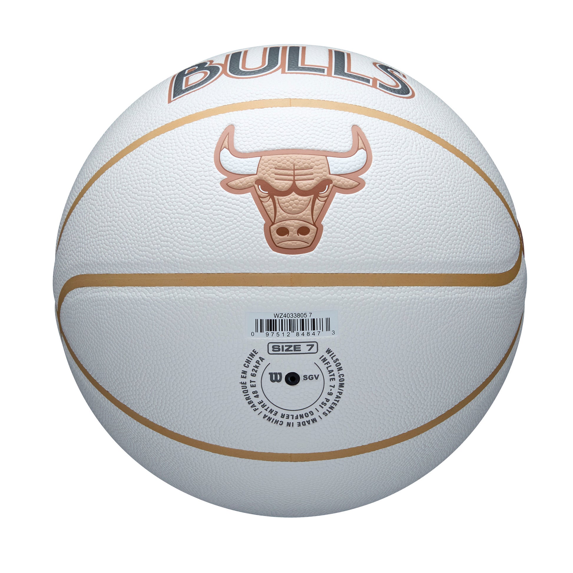 NBA Team City Collector Basketball Chicago Bulls