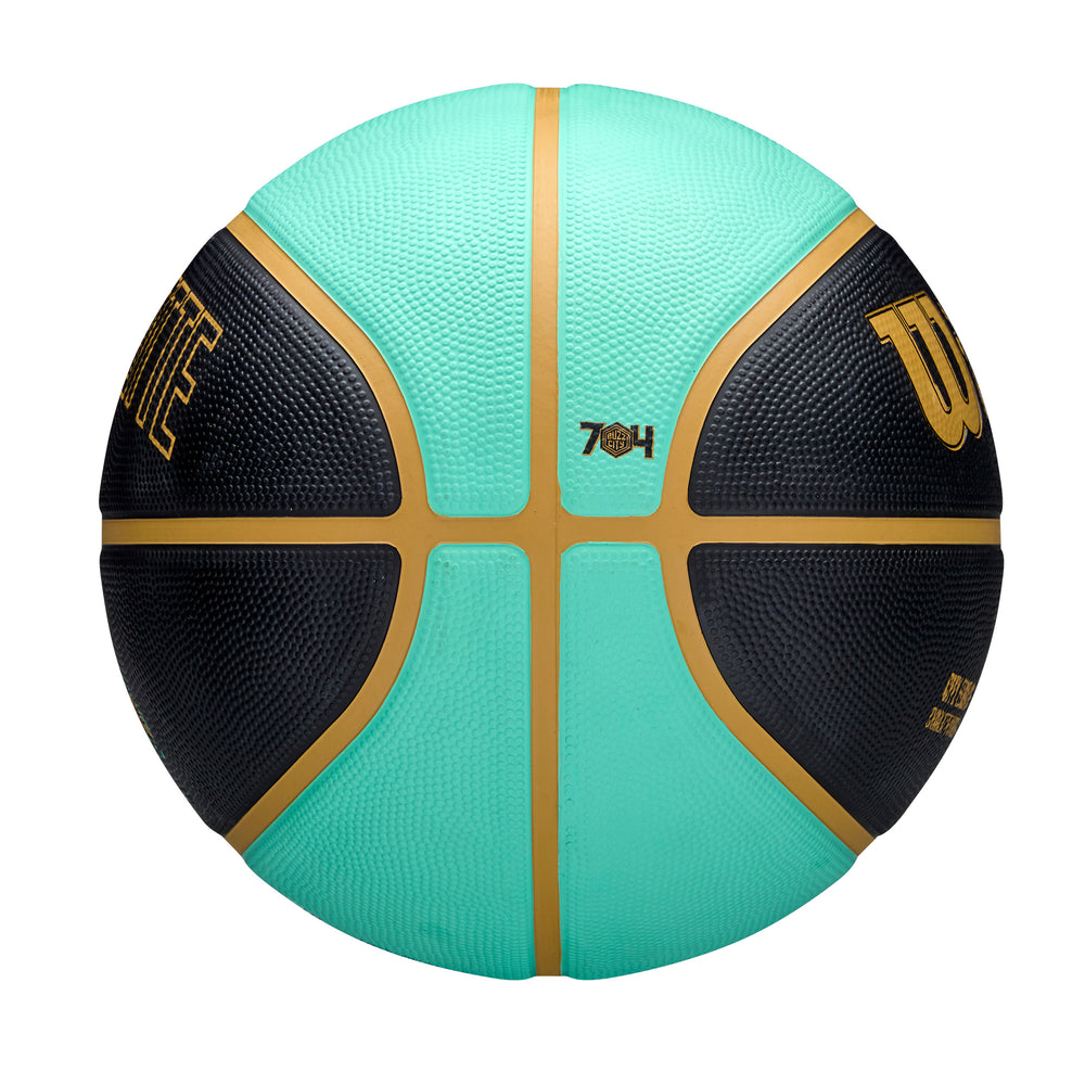 2024 NBA Team City Edition Basketball Charlotte Hornets