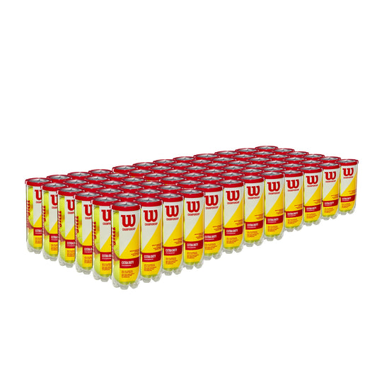 CHAMP EXTRA DUTY 3-BALL 24 CAN CASE TENNIS BALLS - WilsonME