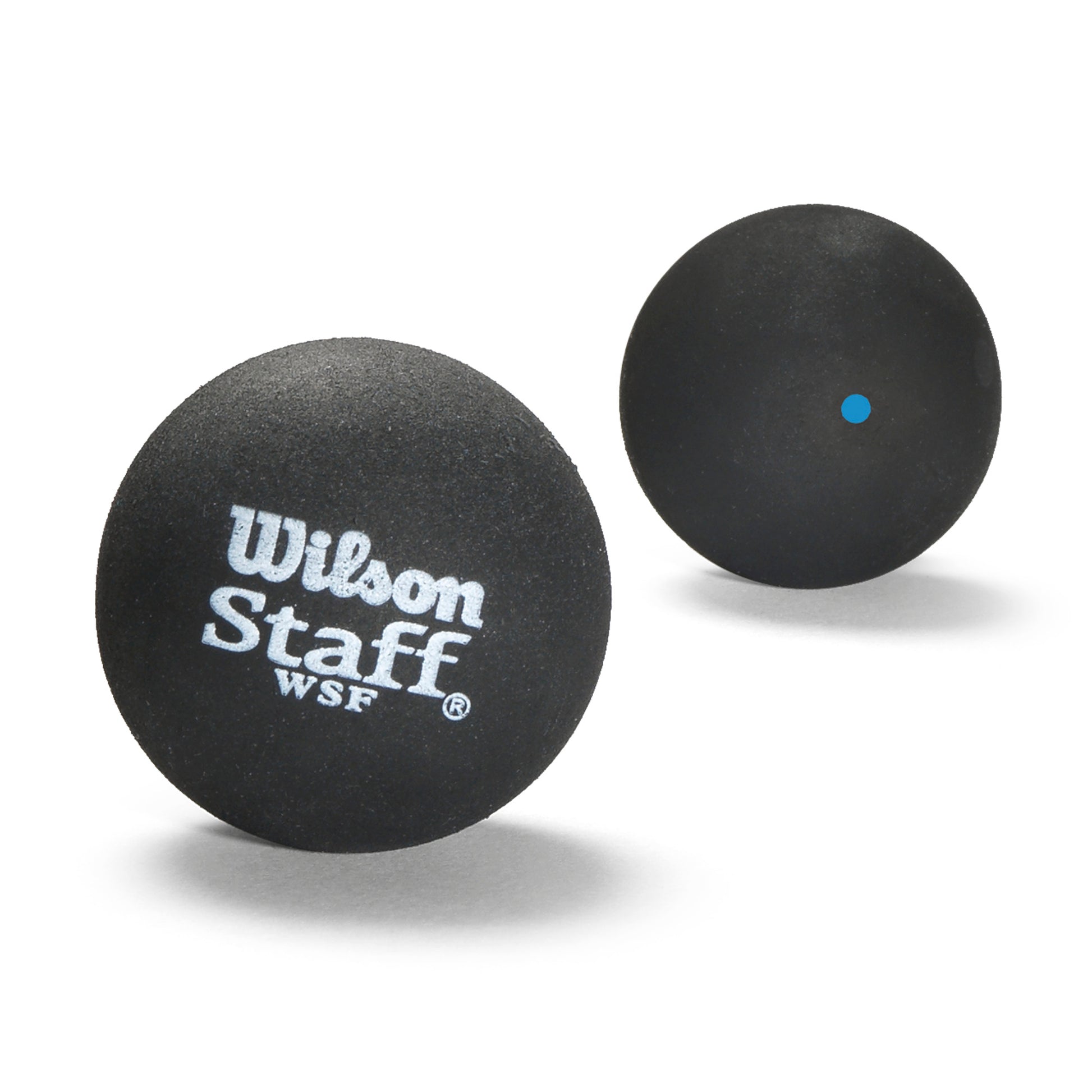 Wilson Staff Squash 2 Ball Blue Dot, Black